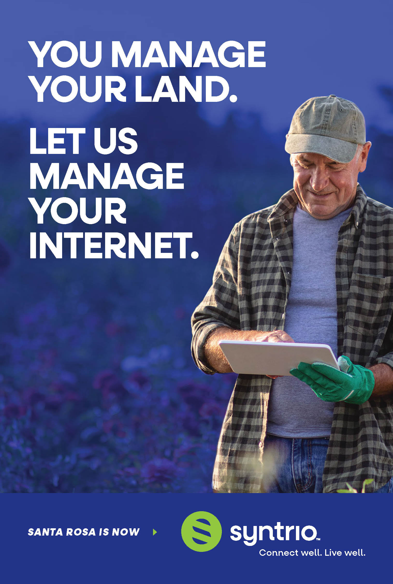 Print Ads